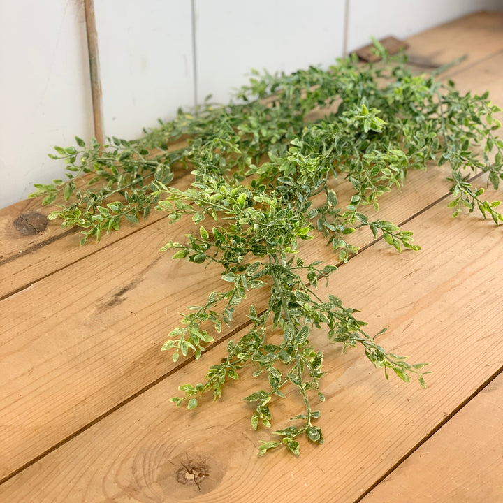 Lemon Beauty Greenery Vine