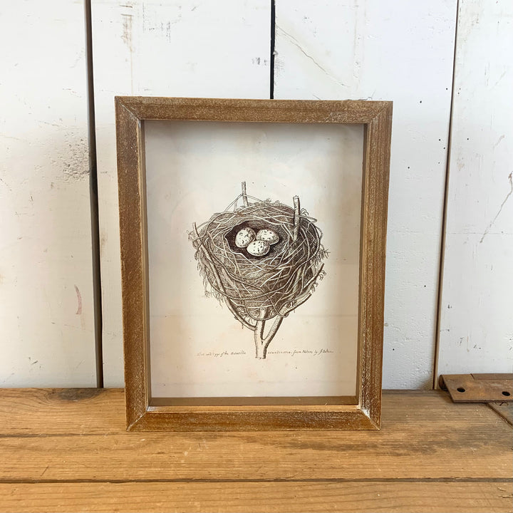 Framed Bird Nest Prints - Four Styles