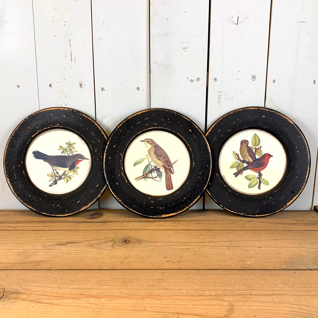 Round Bird Prints - Set of 3