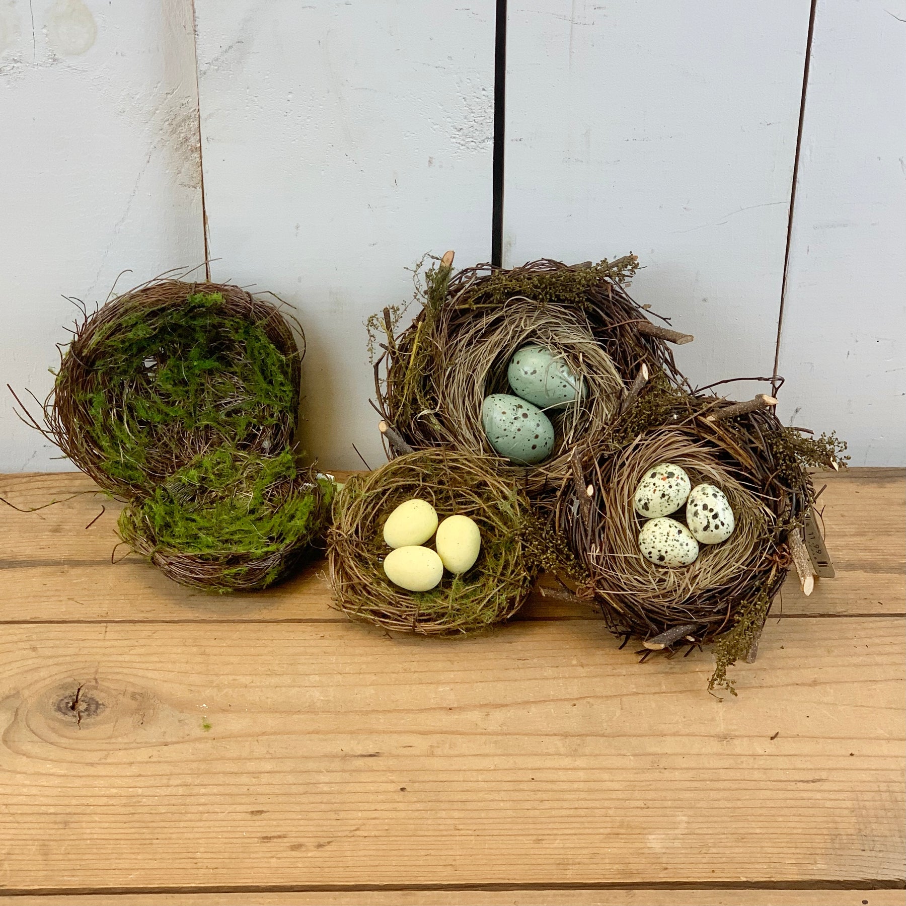 Bird Nest 2.75 W/2 Eggs 1.5-Natural