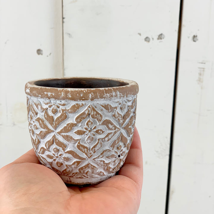 Small Patterned Cement Pots