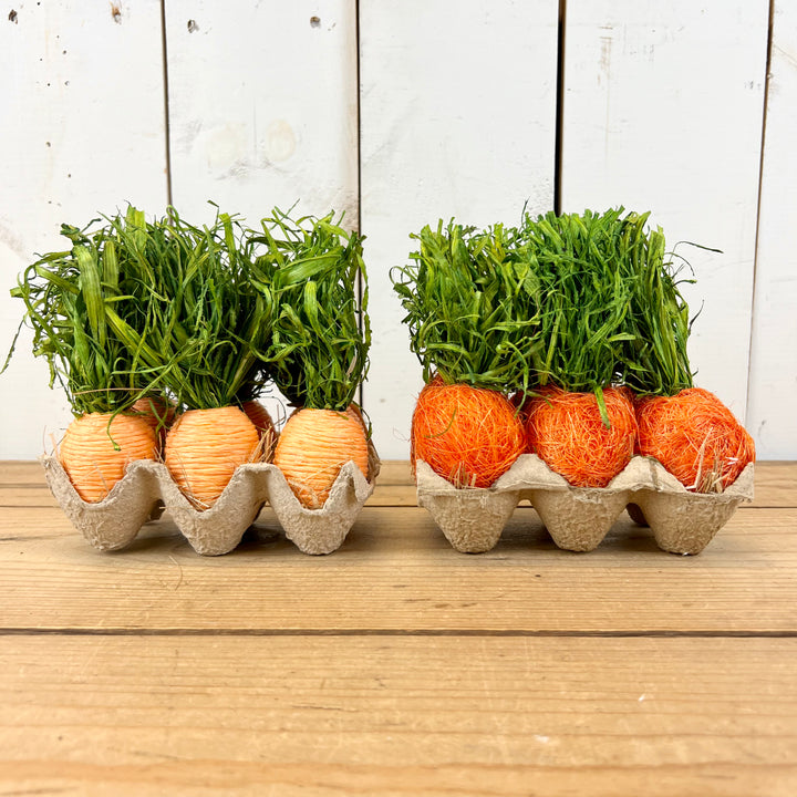 Handcrafted Carrots in Carton