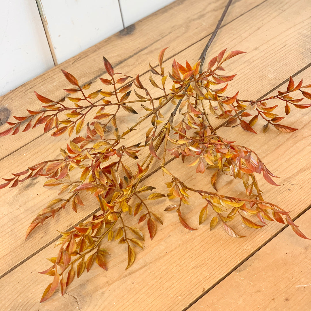 Harvest Leaf Stem