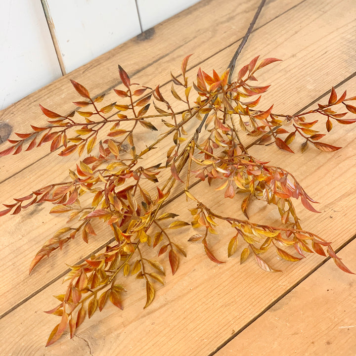 Harvest Leaf Stem