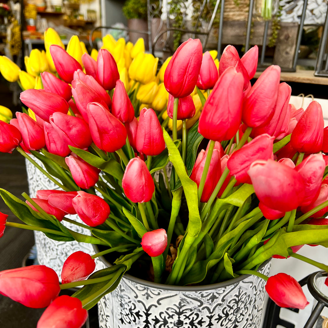 3 Stem Tulip Bouquet