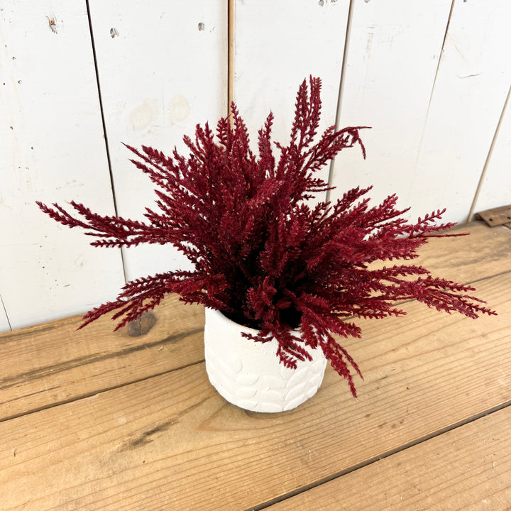 Burgundy Pampas Design Kit