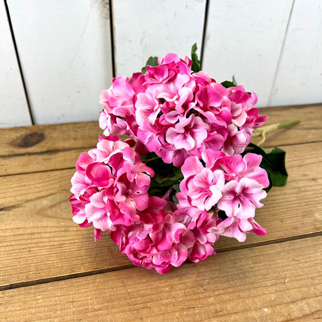 Geranium Bush