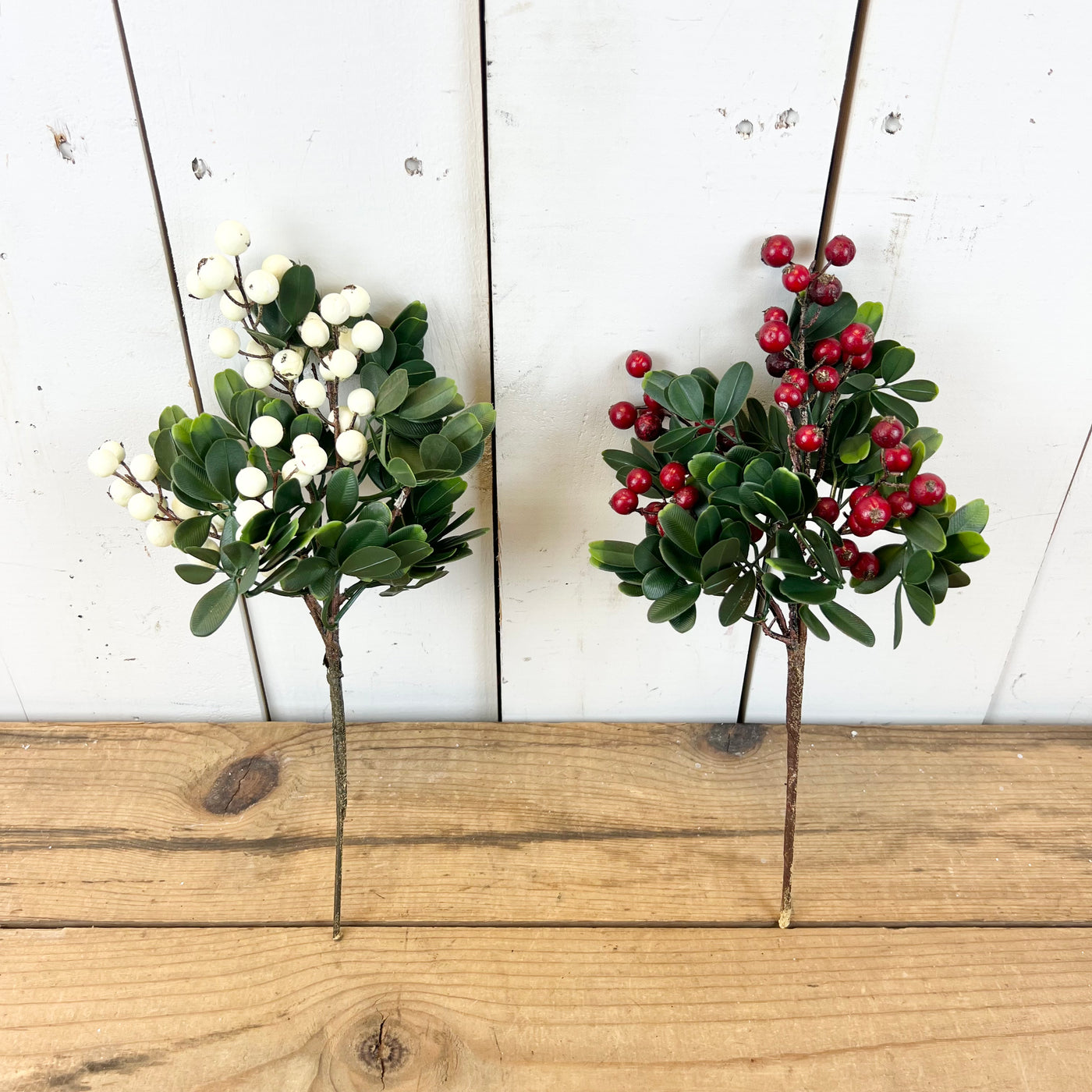 Berry Stems