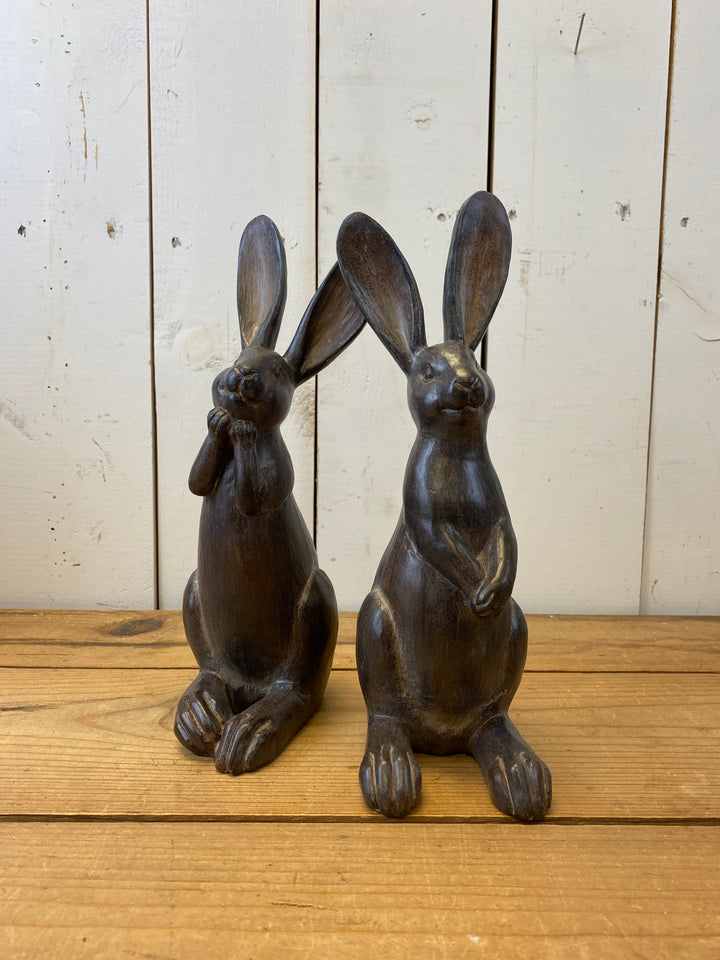 Cheery Bunny Set