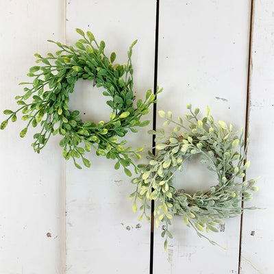 3" English Boxwood Candle Ring