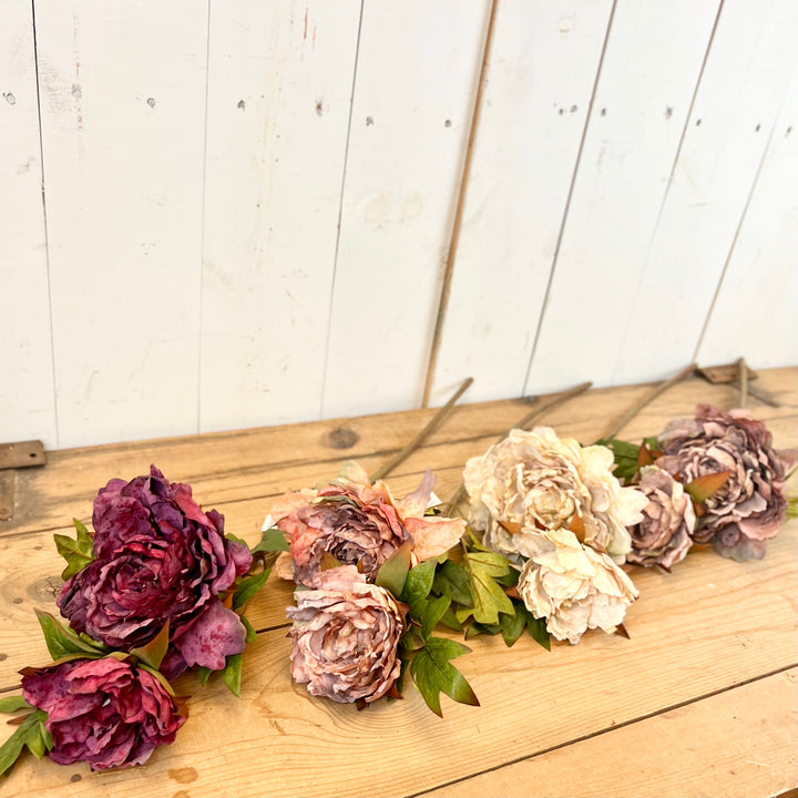 Peony Stems