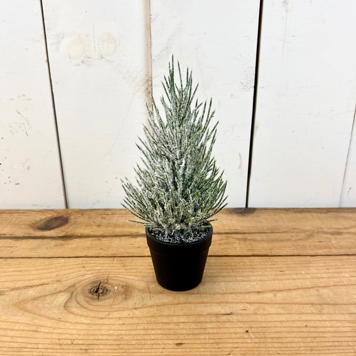 Small Flocked Potted Trees