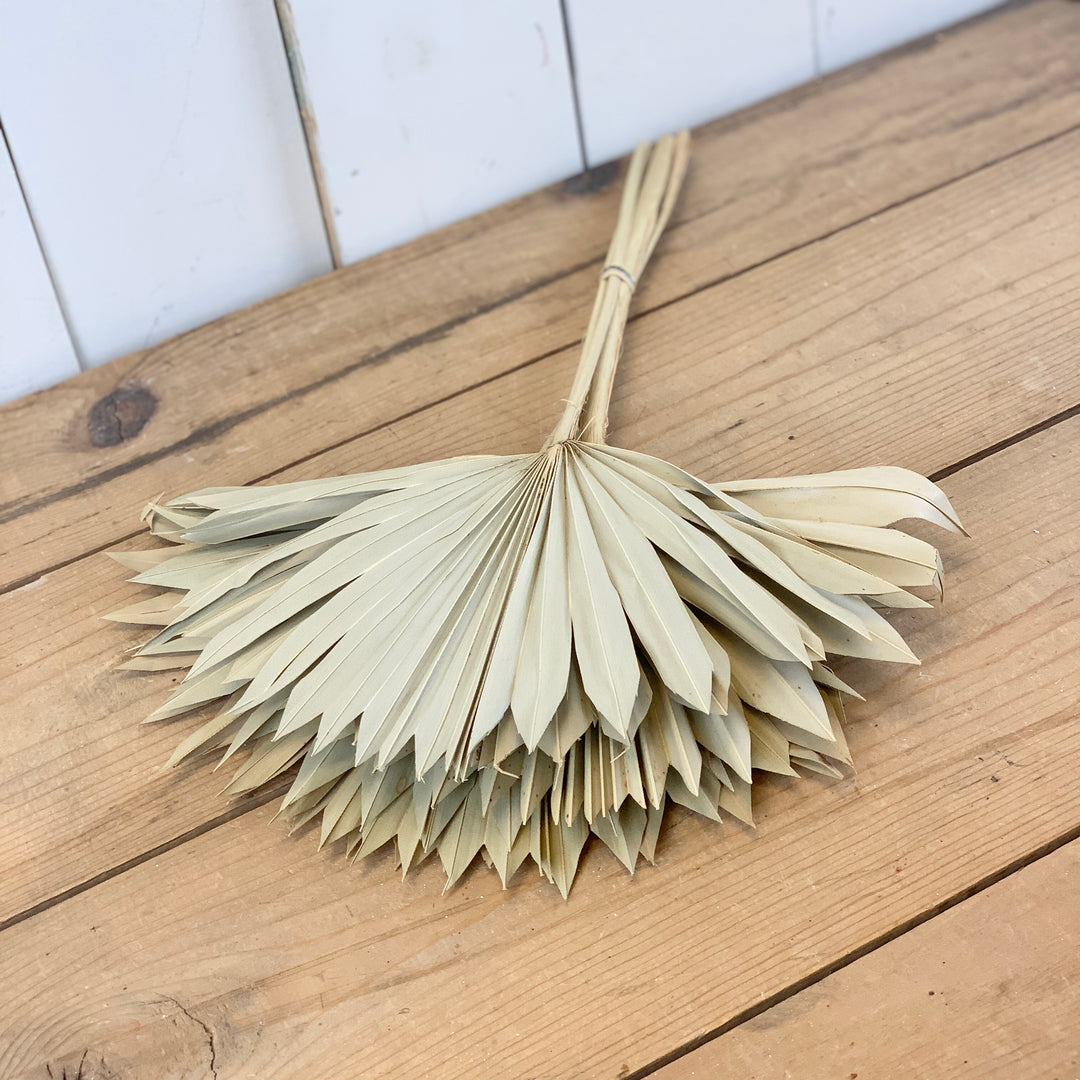 Dried Palm Bundle