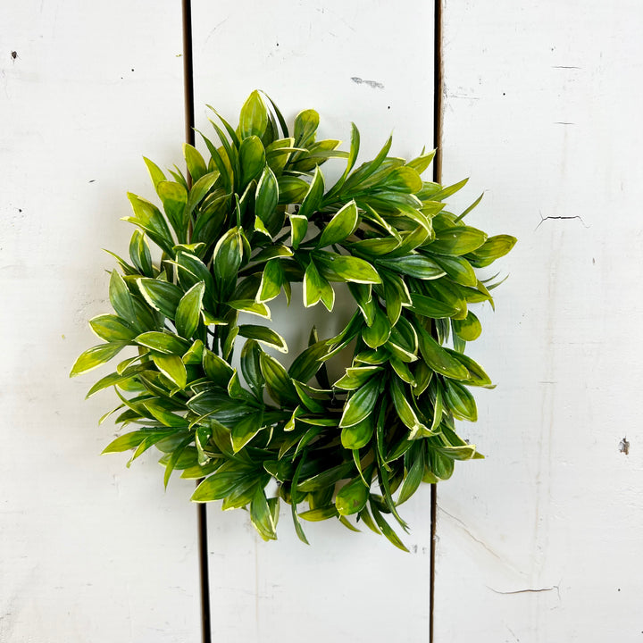 Privet Collection