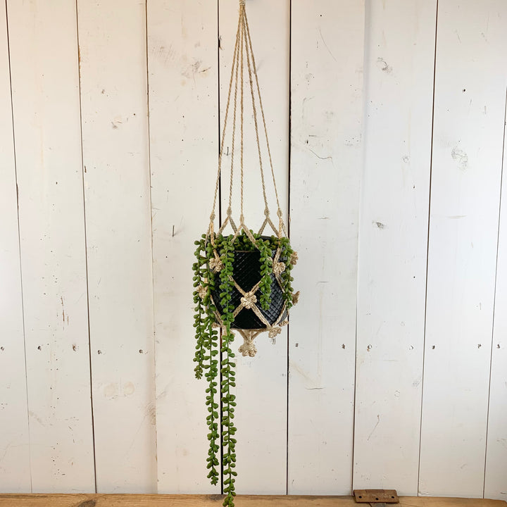 Tan Flower Macramé Hanger