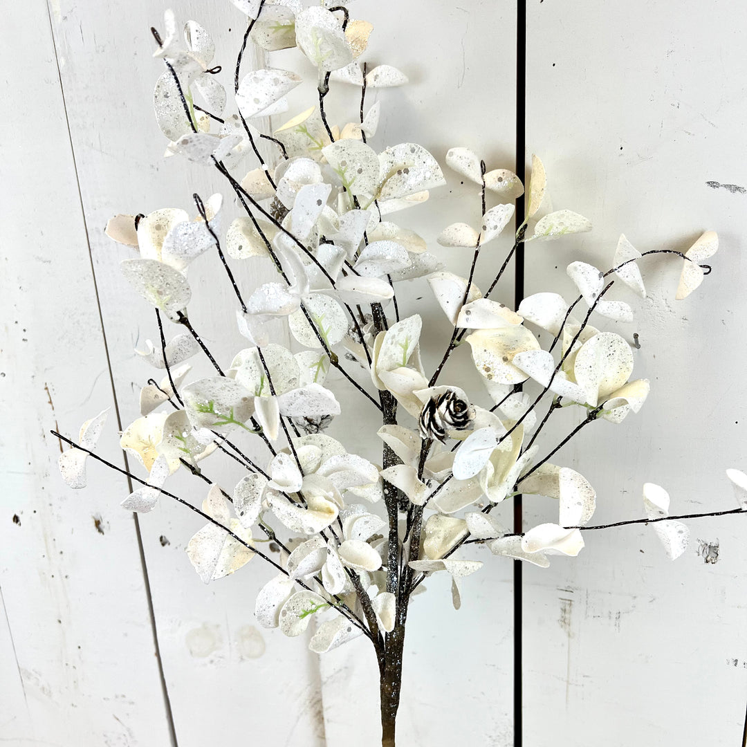 White Eucalyptus Collection