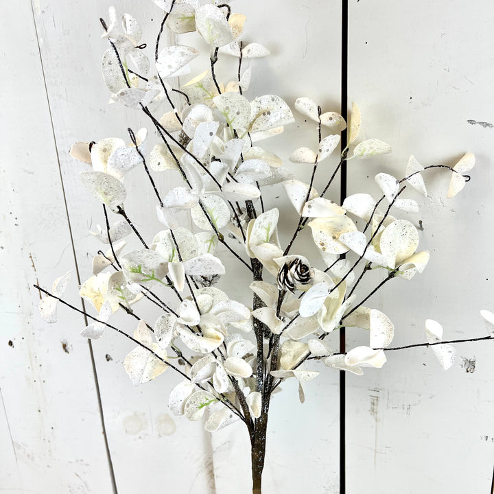 White Eucalyptus Collection