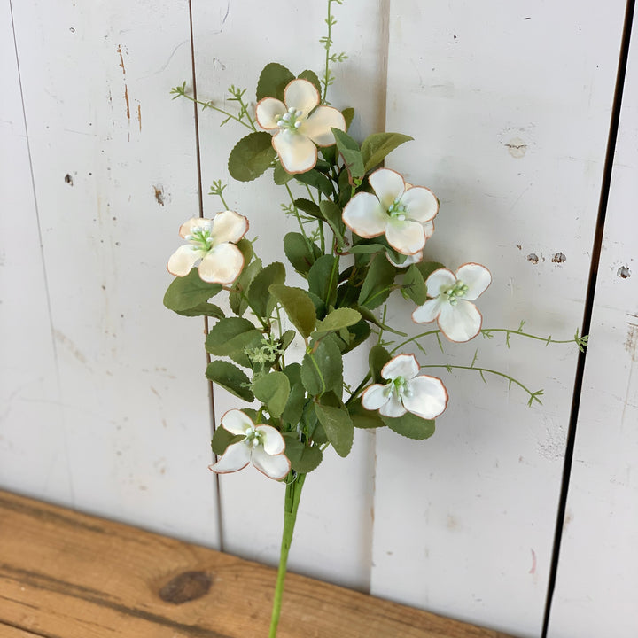 Dogwood Floral Collection