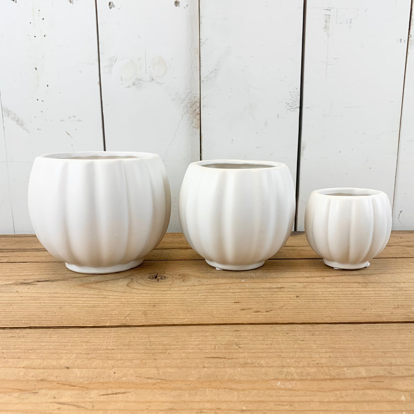Matte White Ribbed Vases
