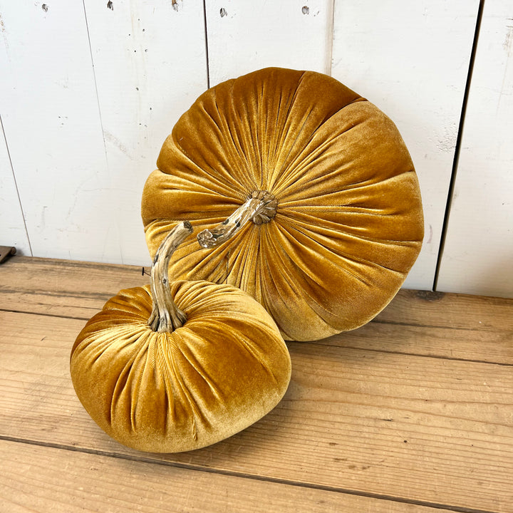Velvet Pumpkins