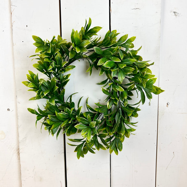 Privet Collection