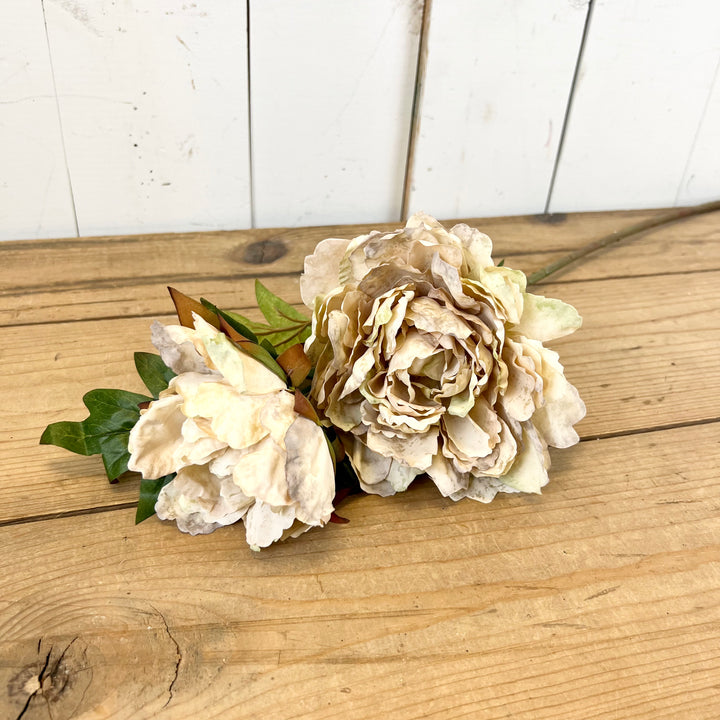 Peony Stems