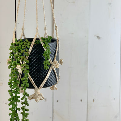 Ivory Flower Macramé Hanger