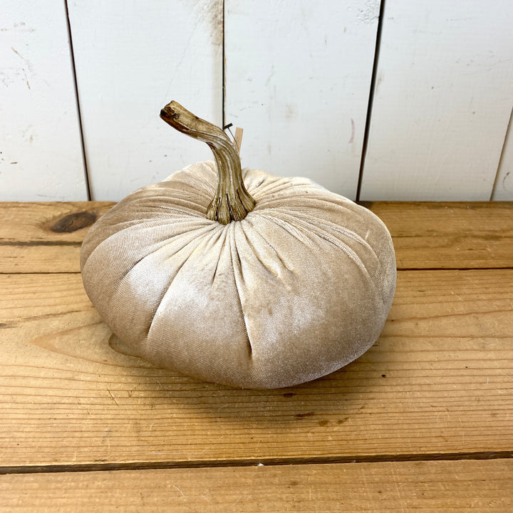 Velvet Pumpkins