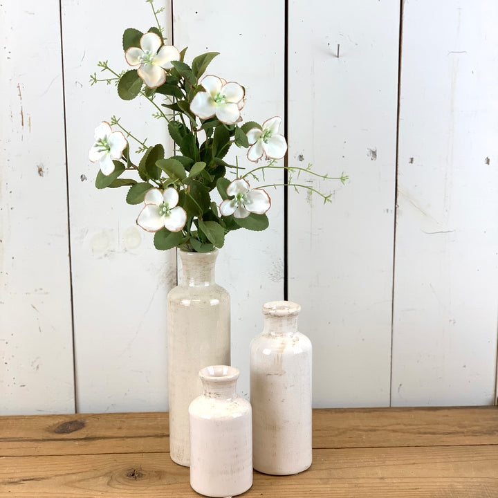 Dogwood Floral Collection