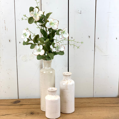 Dogwood Floral Collection