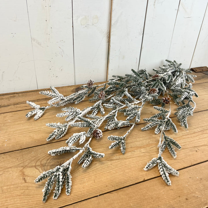 Snowy Pine Vine