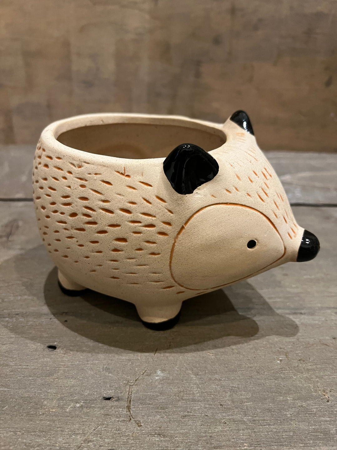 Kitschy Hedgehog Planter