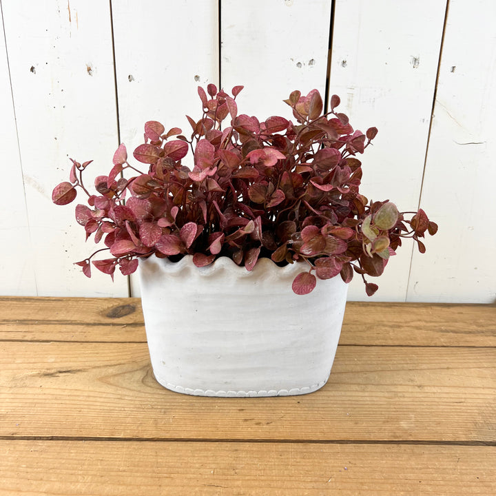 Scalloped Oval Cement Pot