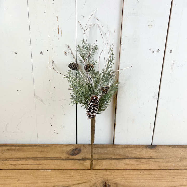 Cedar Pine Stem