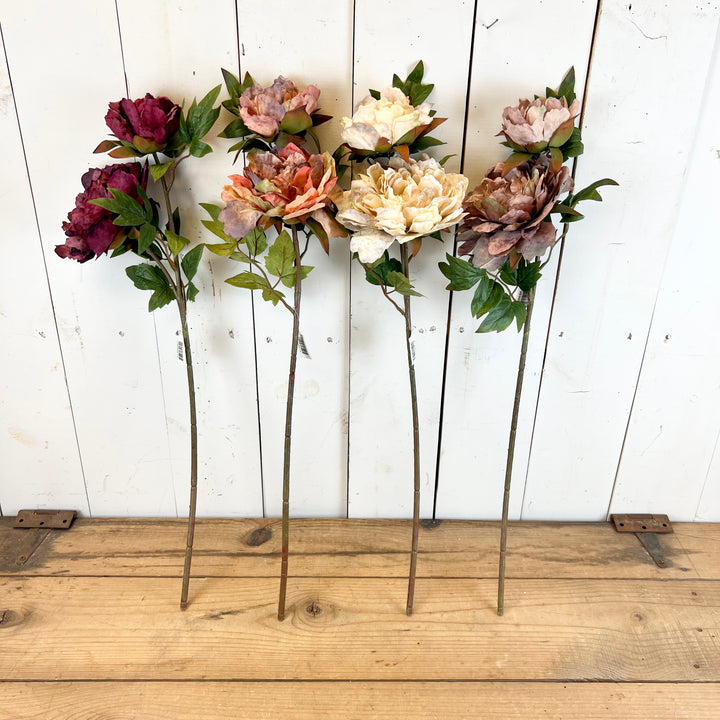 Peony Stems