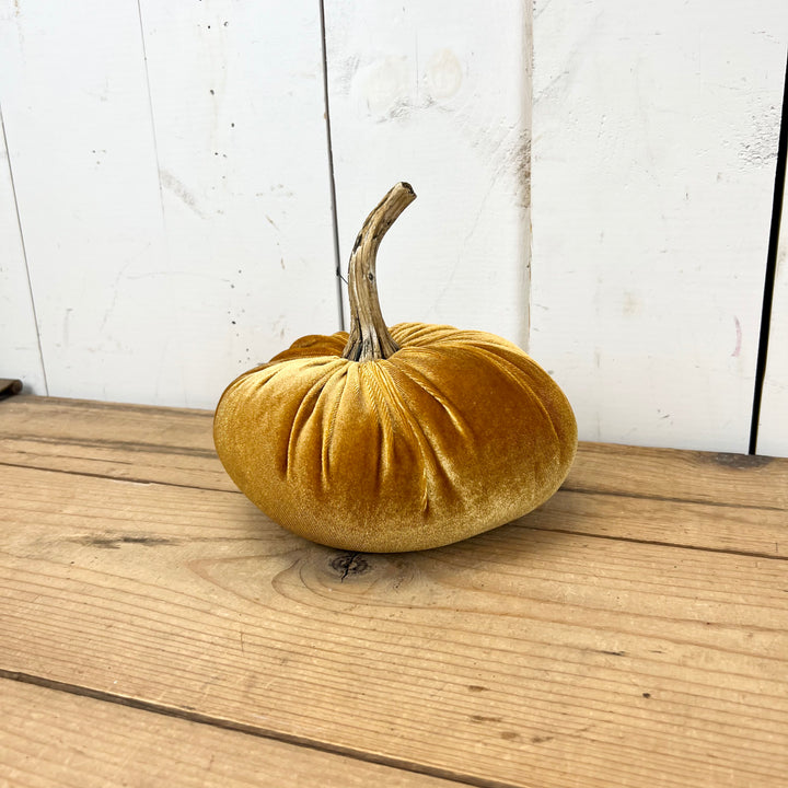Velvet Pumpkins
