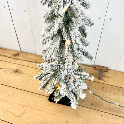 Lighted Flocked Pine Tree