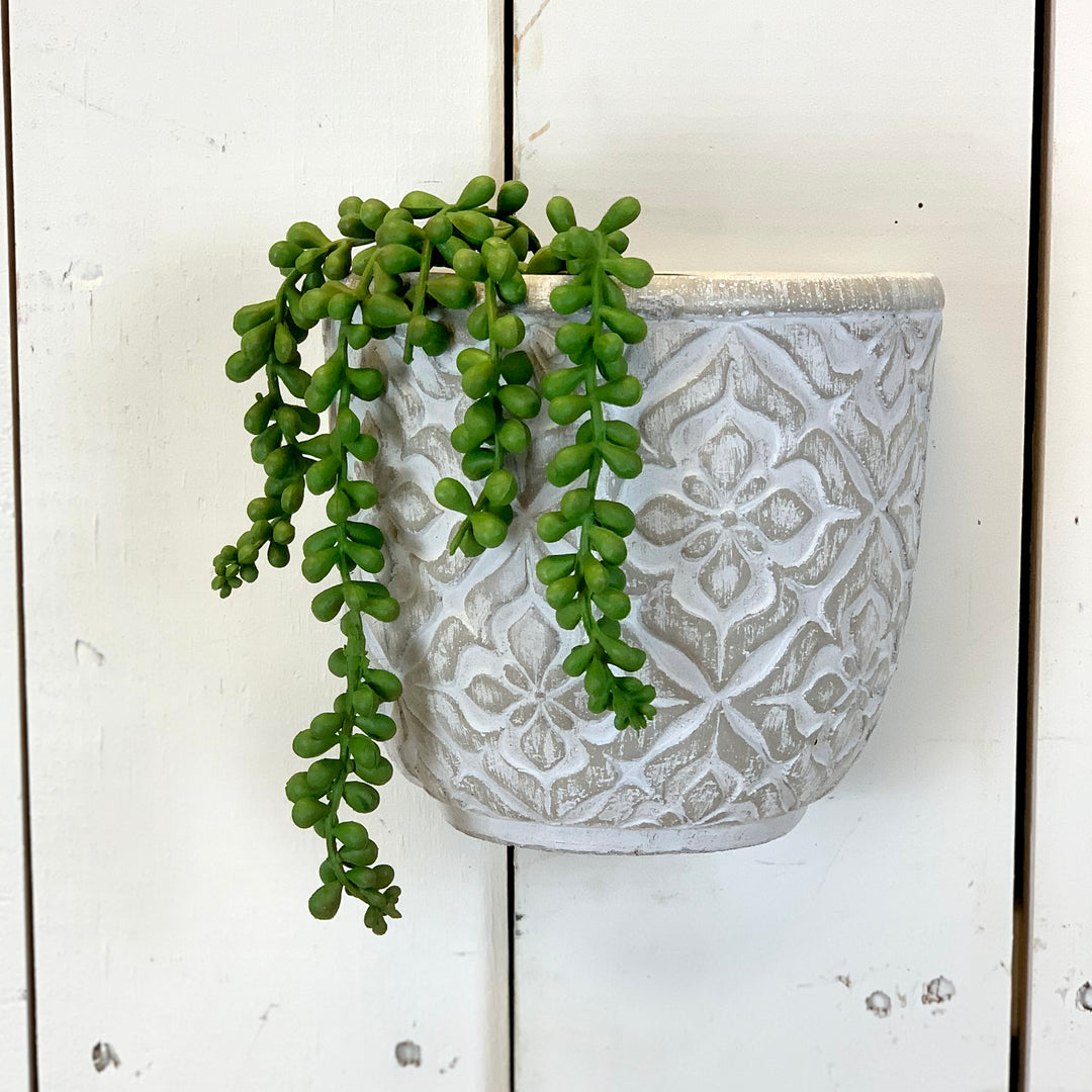 mini hanging succulent Small Hanging Succulent