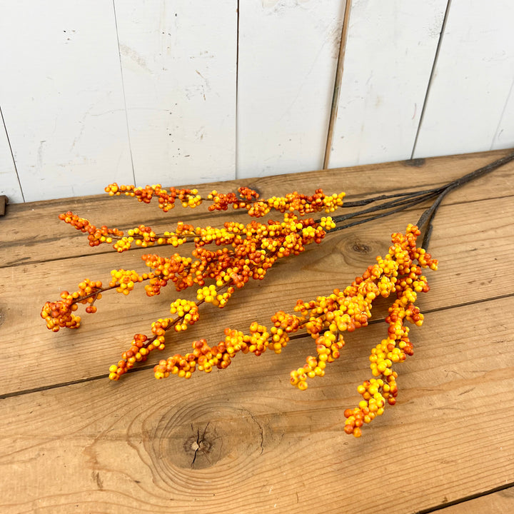 Long Berry Stems