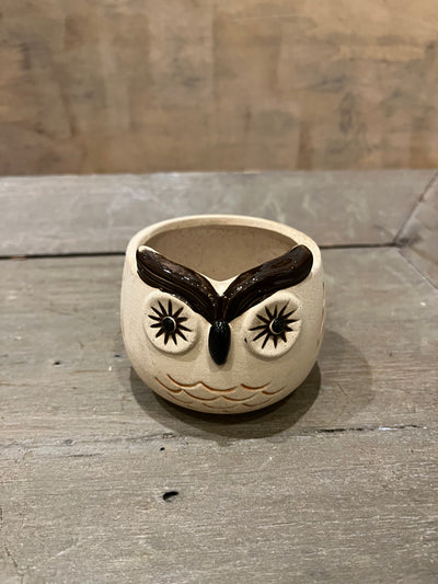 Kitschy Owl Planter