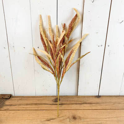 Mixed Wheat Stem