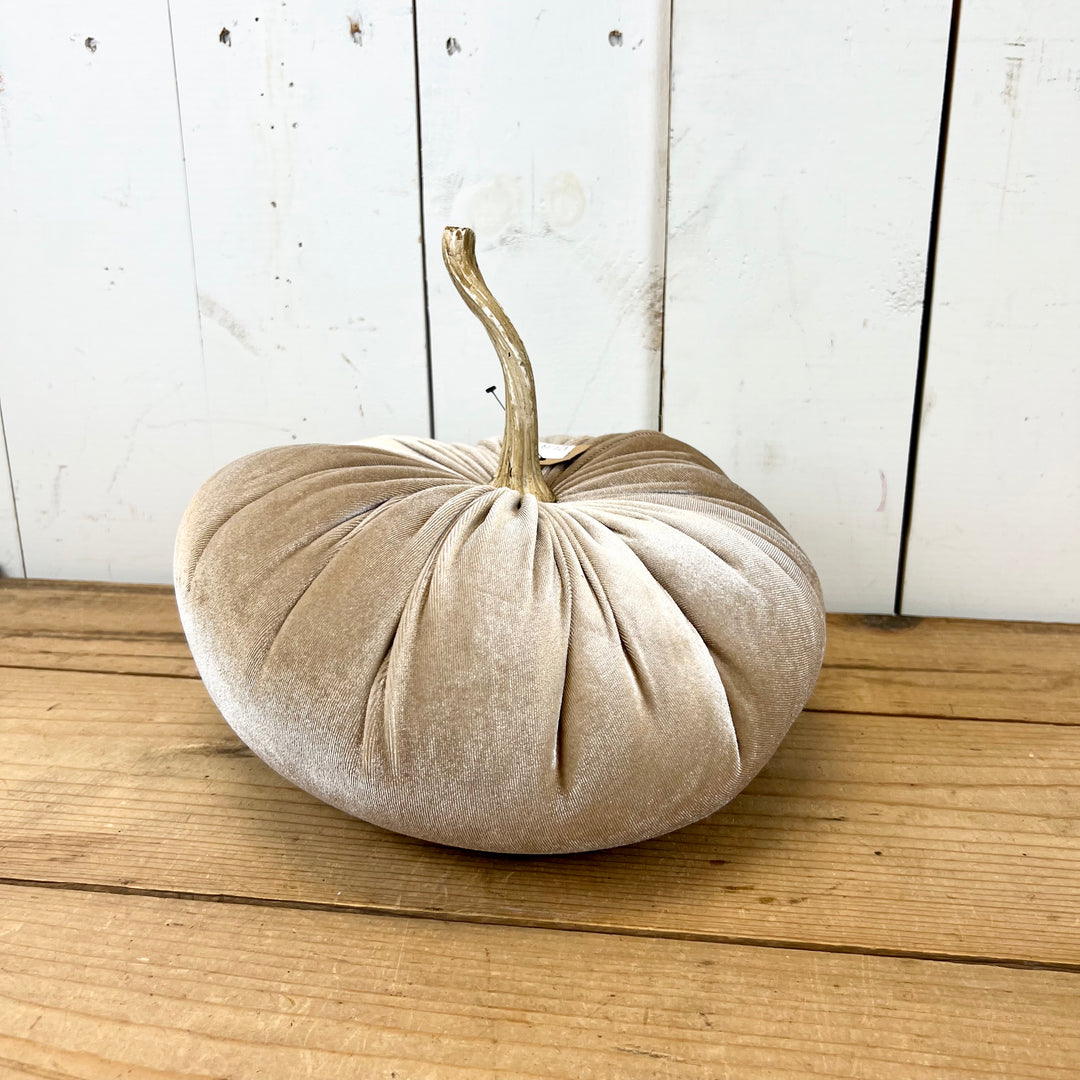 Velvet Pumpkins