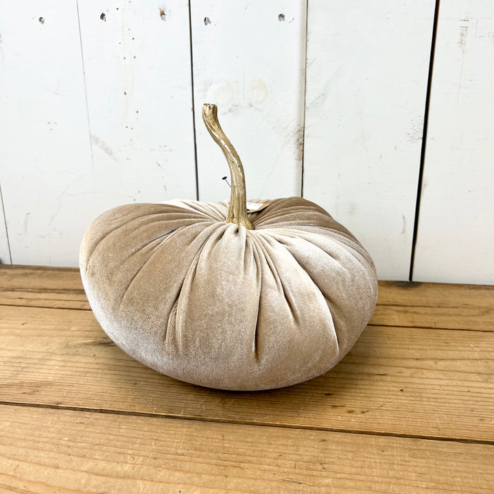 Velvet Pumpkins