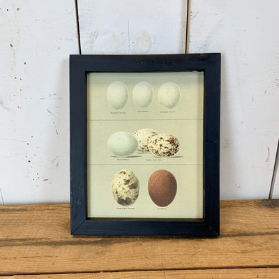 Black Frame Egg Wooden Wall Art, Set of 2