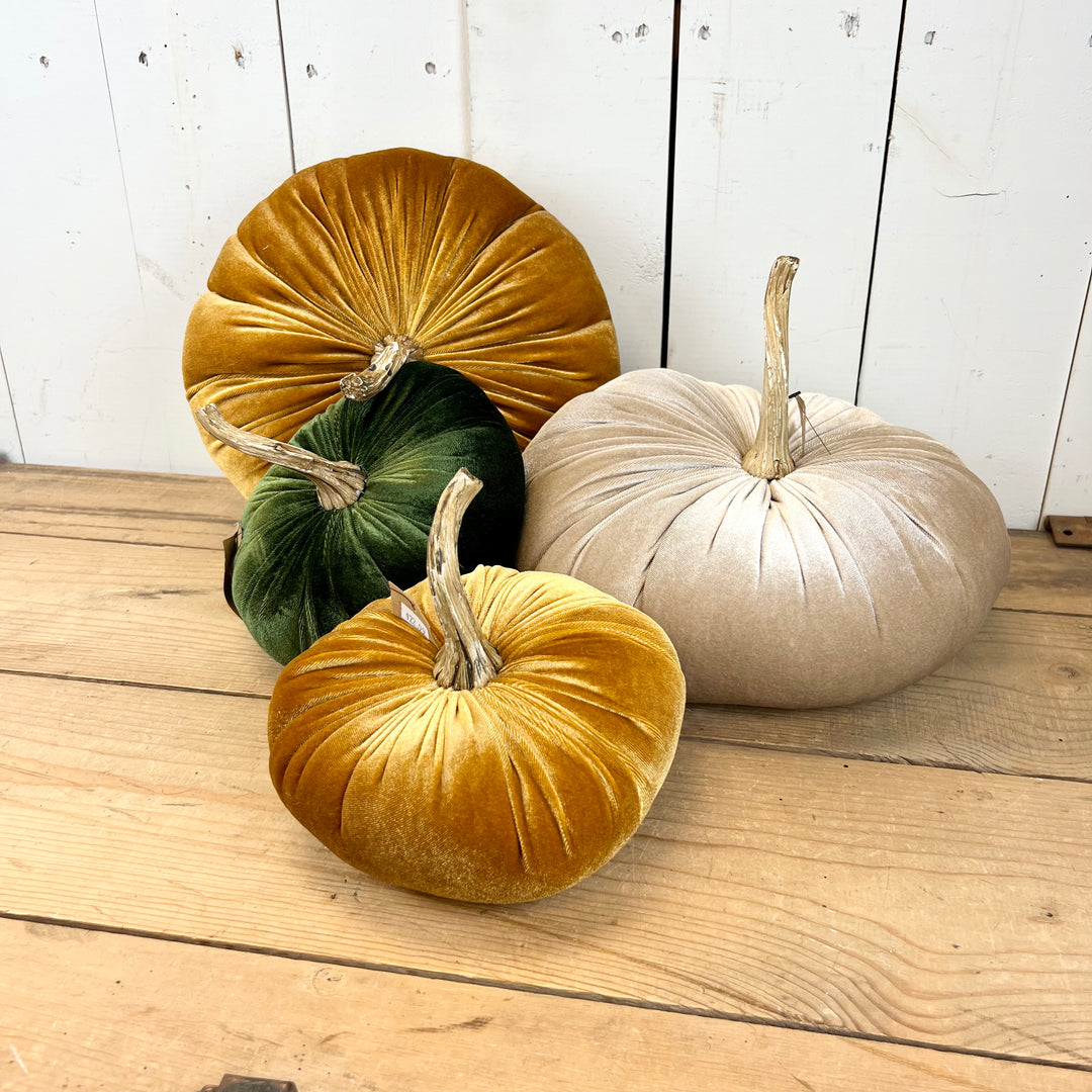 Velvet Pumpkins