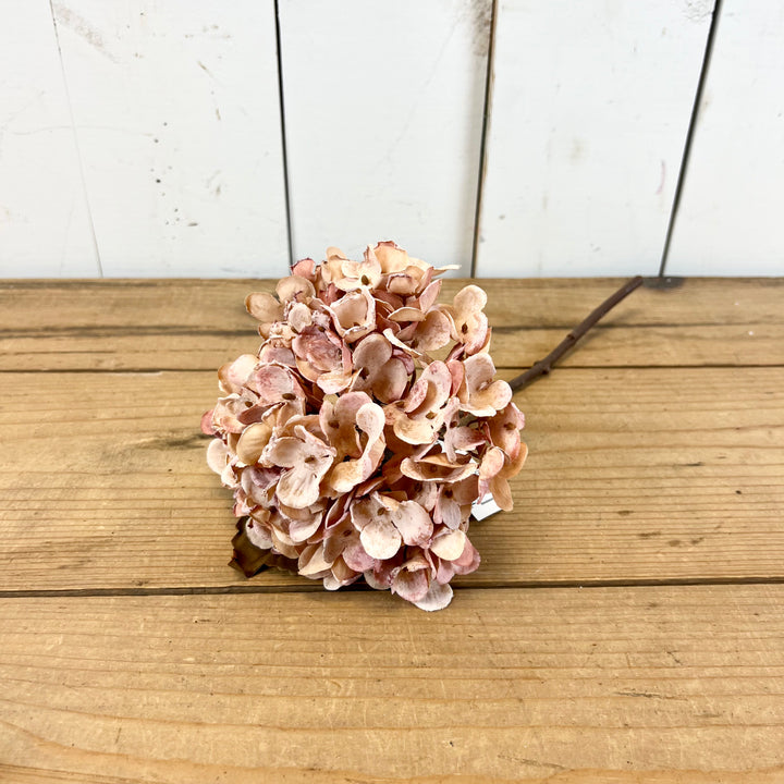 Hydrangea Stems