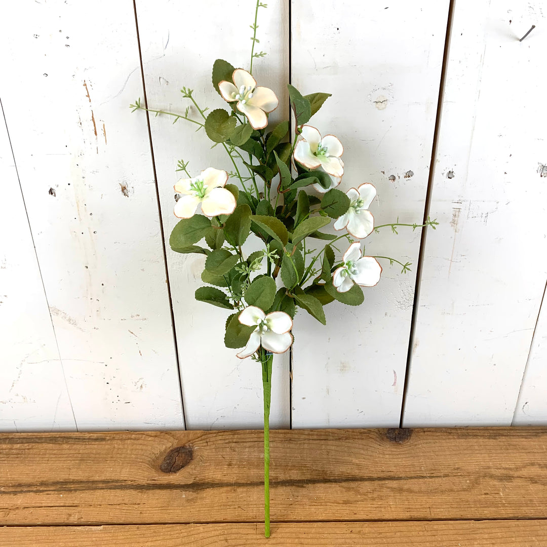 Dogwood Floral Collection