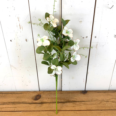Dogwood Floral Collection