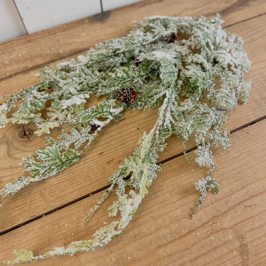 Frosted Fern Vine