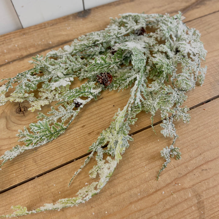 Frosted Fern Vine